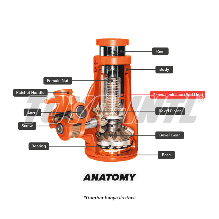 Mechanical-Screw-Jack-II